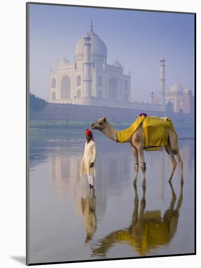 Camal and Driver, Taj Mahal, Agra, Uttar Pradesh, India-Doug Pearson-Mounted Photographic Print