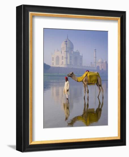 Camal and Driver, Taj Mahal, Agra, Uttar Pradesh, India-Doug Pearson-Framed Photographic Print