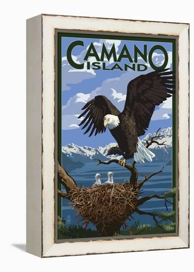 Camano Island, Washington - Bald Eagle and Chicks-Lantern Press-Framed Stretched Canvas