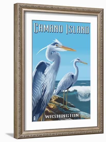 Camano Island, Washington - Blue Heron-Lantern Press-Framed Art Print