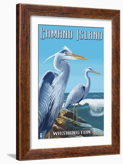 Camano Island, Washington - Blue Heron-Lantern Press-Framed Art Print