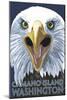 Camano Island, Washington - Eagle Up Close-Lantern Press-Mounted Art Print