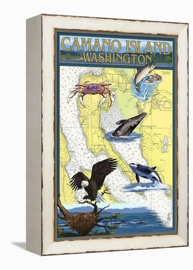 Camano Island, Washington - Nautical Chart-Lantern Press-Framed Stretched Canvas