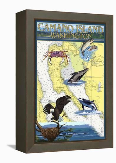 Camano Island, Washington - Nautical Chart-Lantern Press-Framed Stretched Canvas