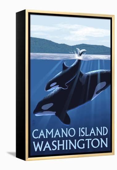 Camano Island, Washington - Orca and Calf-Lantern Press-Framed Stretched Canvas