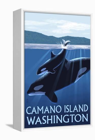 Camano Island, Washington - Orca and Calf-Lantern Press-Framed Stretched Canvas