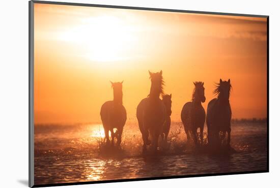 Camargue angels-Rostovskiy Anton-Mounted Photographic Print