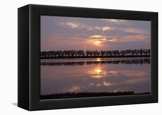 Camargue - Bouches-Du-Rhone, France-Achim Bednorz-Framed Premier Image Canvas