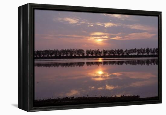 Camargue - Bouches-Du-Rhone, France-Achim Bednorz-Framed Premier Image Canvas