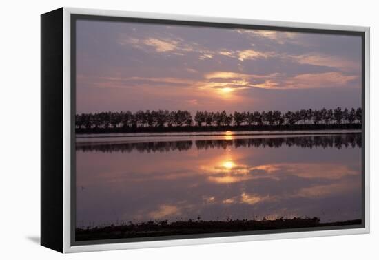 Camargue - Bouches-Du-Rhone, France-Achim Bednorz-Framed Premier Image Canvas