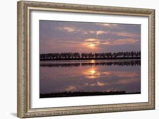 Camargue - Bouches-Du-Rhone, France-Achim Bednorz-Framed Photographic Print