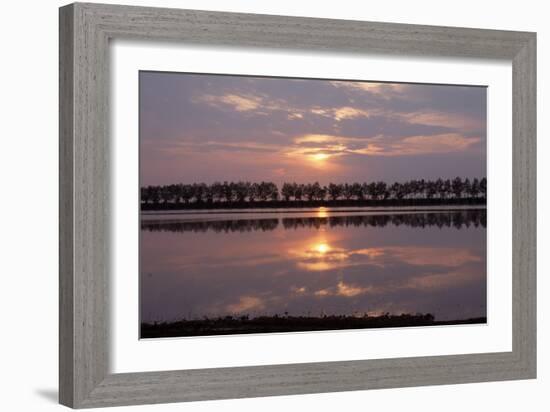 Camargue - Bouches-Du-Rhone, France-Achim Bednorz-Framed Photographic Print