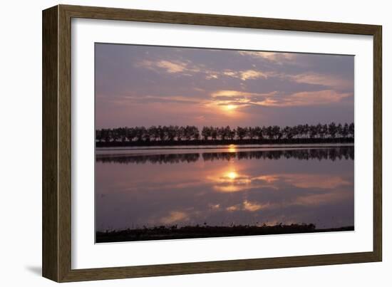 Camargue - Bouches-Du-Rhone, France-Achim Bednorz-Framed Photographic Print