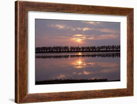 Camargue - Bouches-Du-Rhone, France-Achim Bednorz-Framed Photographic Print