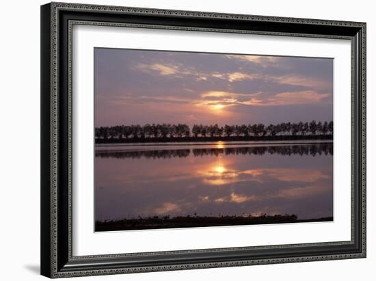 Camargue - Bouches-Du-Rhone, France-Achim Bednorz-Framed Photographic Print