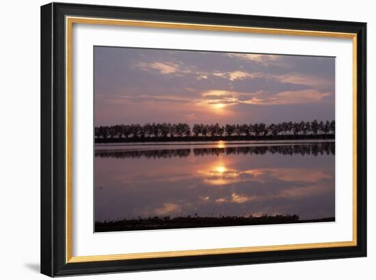 Camargue - Bouches-Du-Rhone, France-Achim Bednorz-Framed Photographic Print