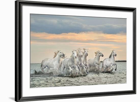 Camargue Horses - France-Xavier Ortega-Framed Art Print