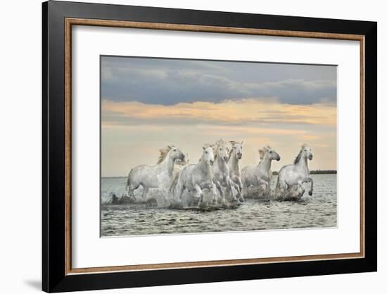 Camargue Horses - France-Xavier Ortega-Framed Giclee Print