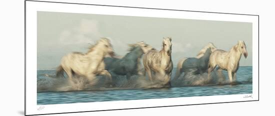 Camargue Horses - Race-Wink Gaines-Mounted Limited Edition
