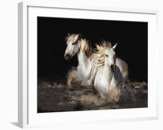 Camargue Horses-Bobbie Goodrich-Framed Giclee Print