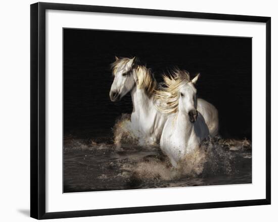 Camargue Horses-Bobbie Goodrich-Framed Giclee Print