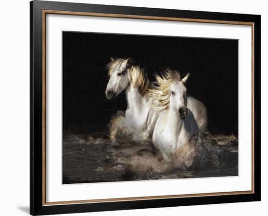 Camargue Horses-Bobbie Goodrich-Framed Giclee Print