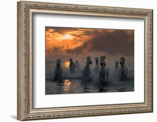 Camargue on Fire-Xavier Ortega-Framed Photographic Print