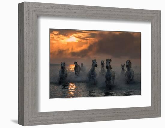 Camargue on Fire-Xavier Ortega-Framed Photographic Print