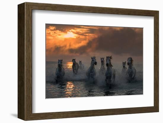 Camargue on Fire-Xavier Ortega-Framed Photographic Print