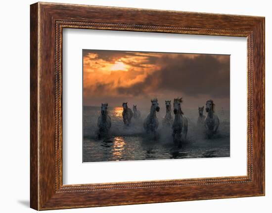 Camargue on Fire-Xavier Ortega-Framed Photographic Print