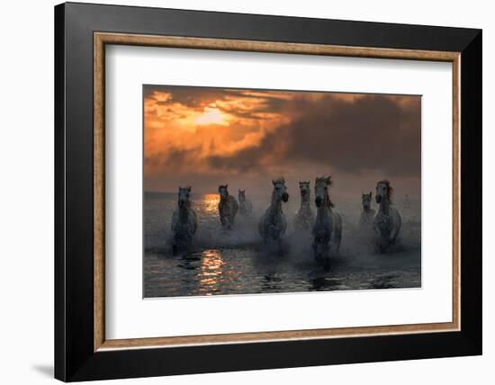 Camargue on Fire-Xavier Ortega-Framed Photographic Print