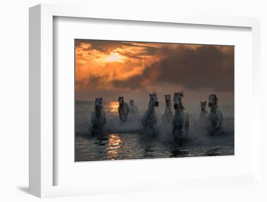 Camargue on Fire-Xavier Ortega-Framed Photographic Print