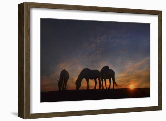 Camargue Sunrise-PH Burchett-Framed Photographic Print