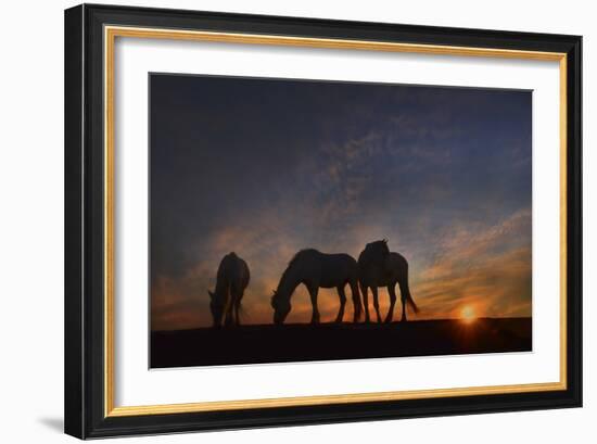 Camargue Sunrise-PH Burchett-Framed Photographic Print