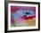 Camaro Racing-NaxArt-Framed Art Print