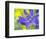 Camas close-up-Sylvia Gulin-Framed Photographic Print