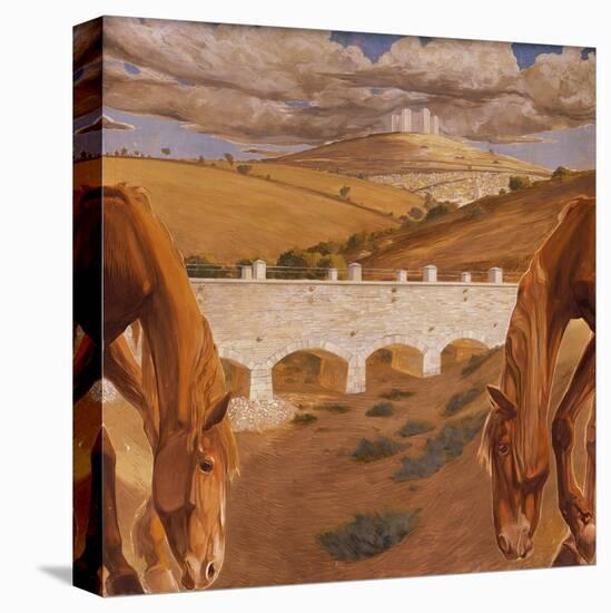 Stretched Canvas Print, , large