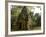 Cambodia, Angkor Wat. Small Temple-Matt Freedman-Framed Photographic Print