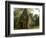 Cambodia, Angkor Wat. Small Temple-Matt Freedman-Framed Photographic Print