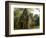 Cambodia, Angkor Wat. Small Temple-Matt Freedman-Framed Photographic Print