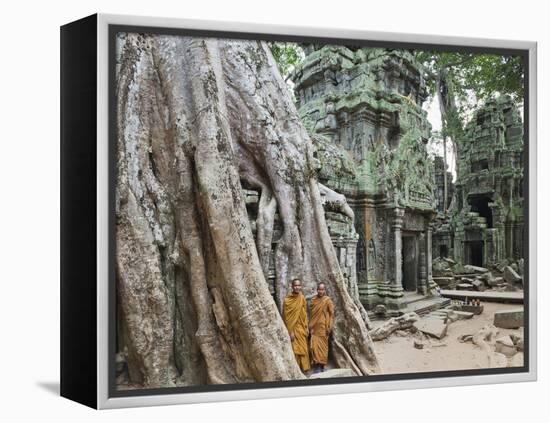 Cambodia, Siem Reap, Angkor, Ta Prohm Temple-Steve Vidler-Framed Premier Image Canvas