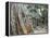 Cambodia, Siem Reap, Angkor, Ta Prohm Temple-Steve Vidler-Framed Premier Image Canvas