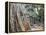 Cambodia, Siem Reap, Angkor, Ta Prohm Temple-Steve Vidler-Framed Premier Image Canvas