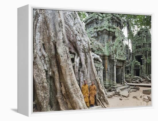 Cambodia, Siem Reap, Angkor, Ta Prohm Temple-Steve Vidler-Framed Premier Image Canvas