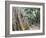 Cambodia, Siem Reap, Angkor, Ta Prohm Temple-Steve Vidler-Framed Photographic Print