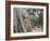 Cambodia, Siem Reap, Angkor, Ta Prohm Temple-Steve Vidler-Framed Photographic Print