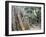 Cambodia, Siem Reap, Angkor, Ta Prohm Temple-Steve Vidler-Framed Photographic Print