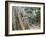 Cambodia, Siem Reap, Angkor, Ta Prohm Temple-Steve Vidler-Framed Photographic Print