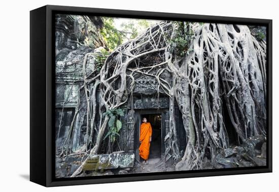Cambodia, Siem Reap, Angkor Wat Complex. Buddhist Monk Inside Ta Prohm Temple (Mr)-Matteo Colombo-Framed Premier Image Canvas
