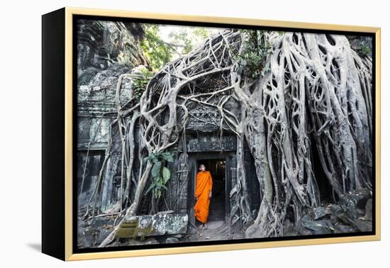 Cambodia, Siem Reap, Angkor Wat Complex. Buddhist Monk Inside Ta Prohm Temple (Mr)-Matteo Colombo-Framed Premier Image Canvas